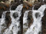 getphpbbimage.php?id=292046