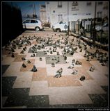 getphpbbimage.php?id=29735