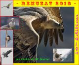 getphpbbimage.php?id=299139
