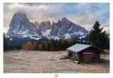 getphpbbimage.php?id=299634
