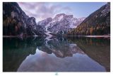 getphpbbimage.php?id=300039
