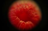 getphpbbimage.php?id=30064