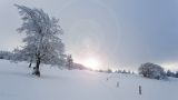 getphpbbimage.php?id=300907