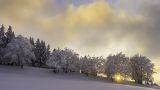 getphpbbimage.php?id=300923