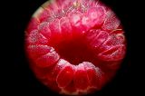 getphpbbimage.php?id=30094