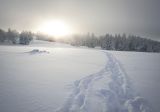 getphpbbimage.php?id=301042