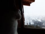 getphpbbimage.php?id=306590