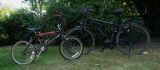 getphpbbimage.php?id=309989