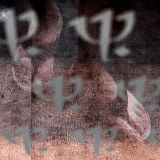 getphpbbimage.php?id=310238