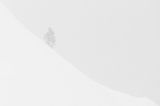 getphpbbimage.php?id=310782