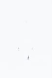 getphpbbimage.php?id=310786