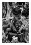 getphpbbimage.php?id=310991
