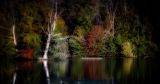 getphpbbimage.php?id=313897