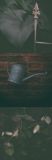 getphpbbimage.php?id=314629