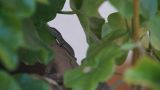 getphpbbimage.php?id=319693