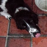 getphpbbimage.php?id=324544