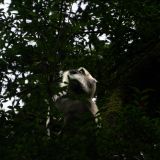 getphpbbimage.php?id=328414