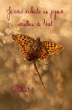 getphpbbimage.php?id=331688