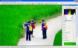 getphpbbimage.php?id=33455