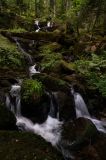 getphpbbimage.php?id=346074