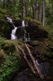getphpbbimage.php?id=346075