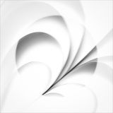 getphpbbimage.php?id=347469