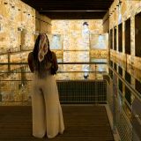 getphpbbimage.php?id=348020
