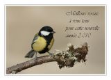 getphpbbimage.php?id=34851