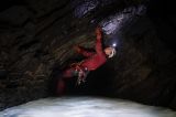 getphpbbimage.php?id=350039