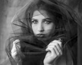 getphpbbimage.php?id=351005