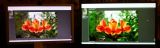 getphpbbimage.php?id=367409
