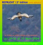 getphpbbimage.php?id=376801