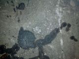 getphpbbimage.php?id=38105