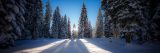 getphpbbimage.php?id=382213