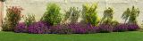 getphpbbimage.php?id=384175