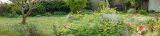 getphpbbimage.php?id=384188