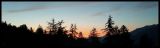 getphpbbimage.php?id=393078