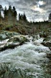 getphpbbimage.php?id=40652