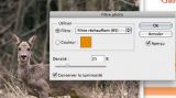 getphpbbimage.php?id=40765
