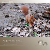 getphpbbimage.php?id=42345