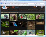 getphpbbimage.php?id=42990