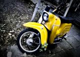 getphpbbimage.php?id=46223