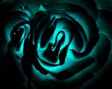 getphpbbimage.php?id=47170