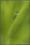 getphpbbimage.php?id=50831