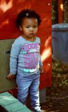 getphpbbimage.php?id=53144