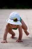 getphpbbimage.php?id=54770