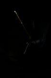 getphpbbimage.php?id=54825