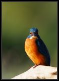 getphpbbimage.php?id=57328