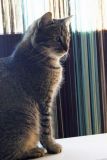 getphpbbimage.php?id=57924