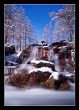 getphpbbimage.php?id=61247